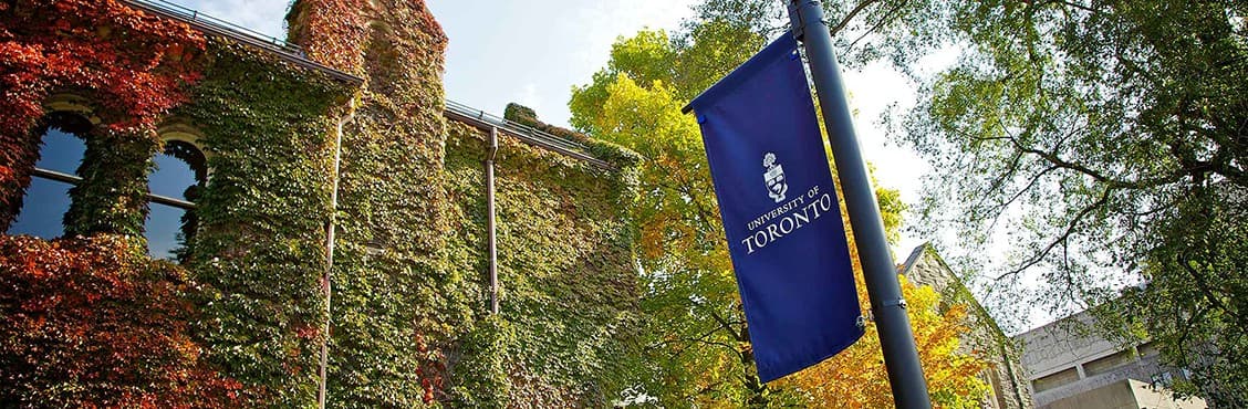 Profile banner