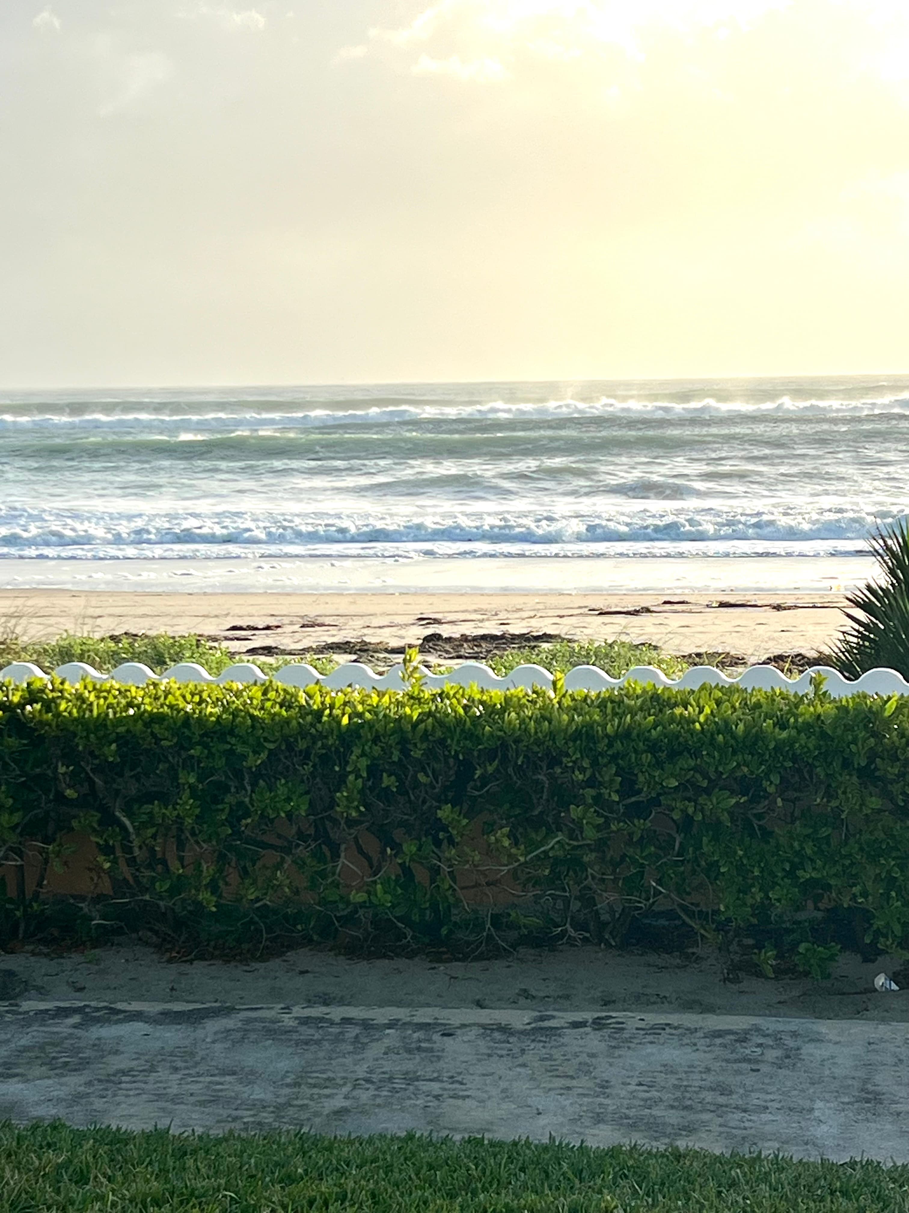Profile banner