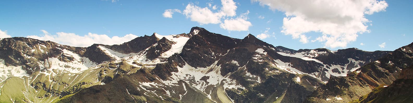 Profile banner