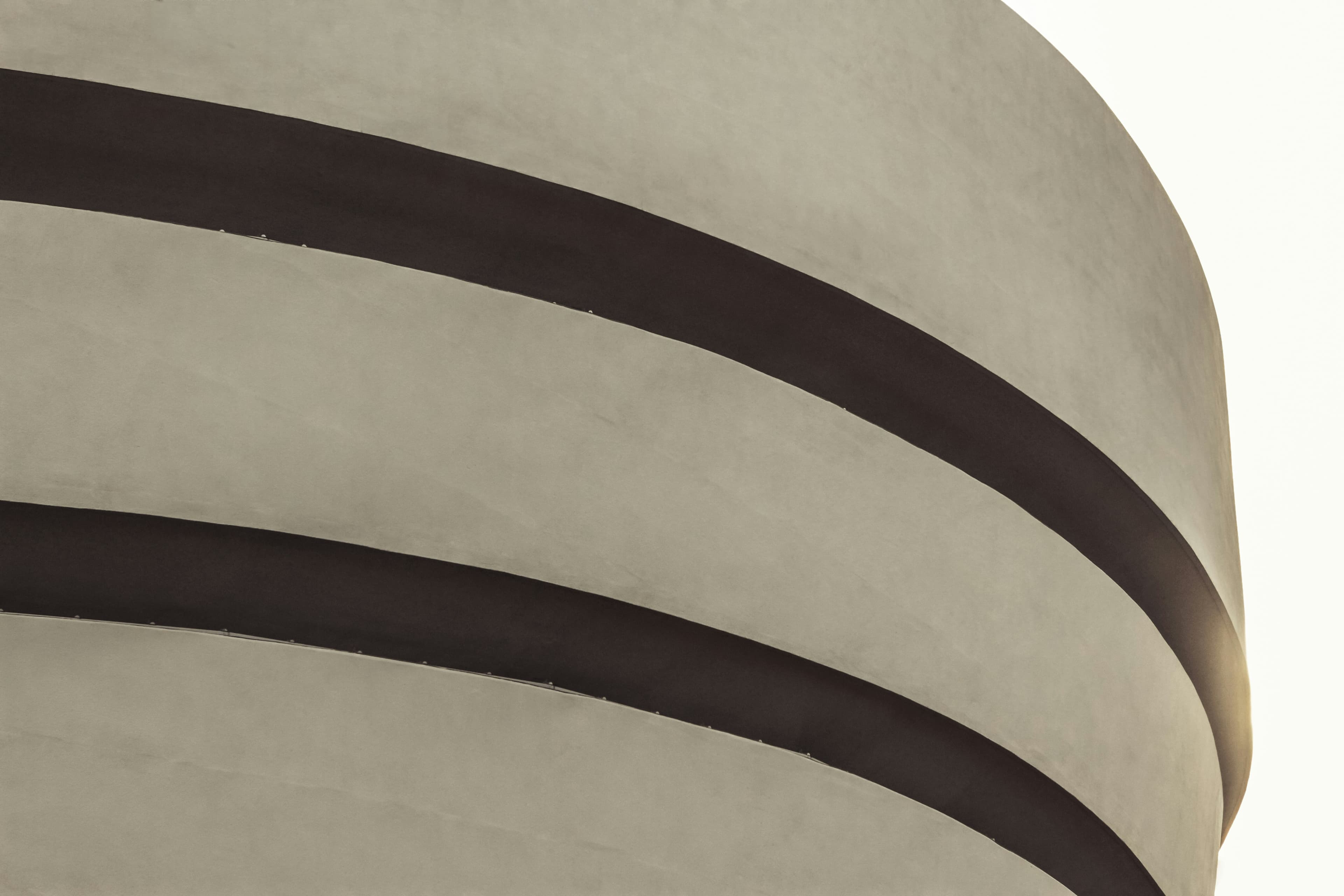 Profile banner