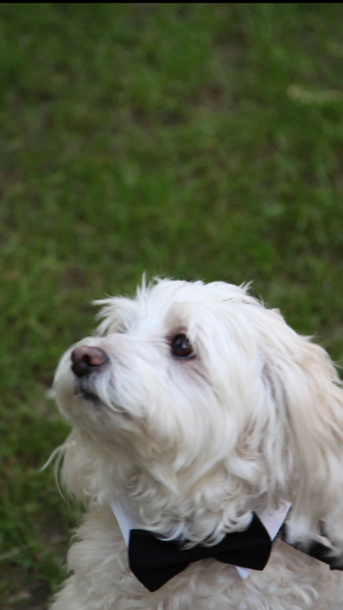 Profile banner