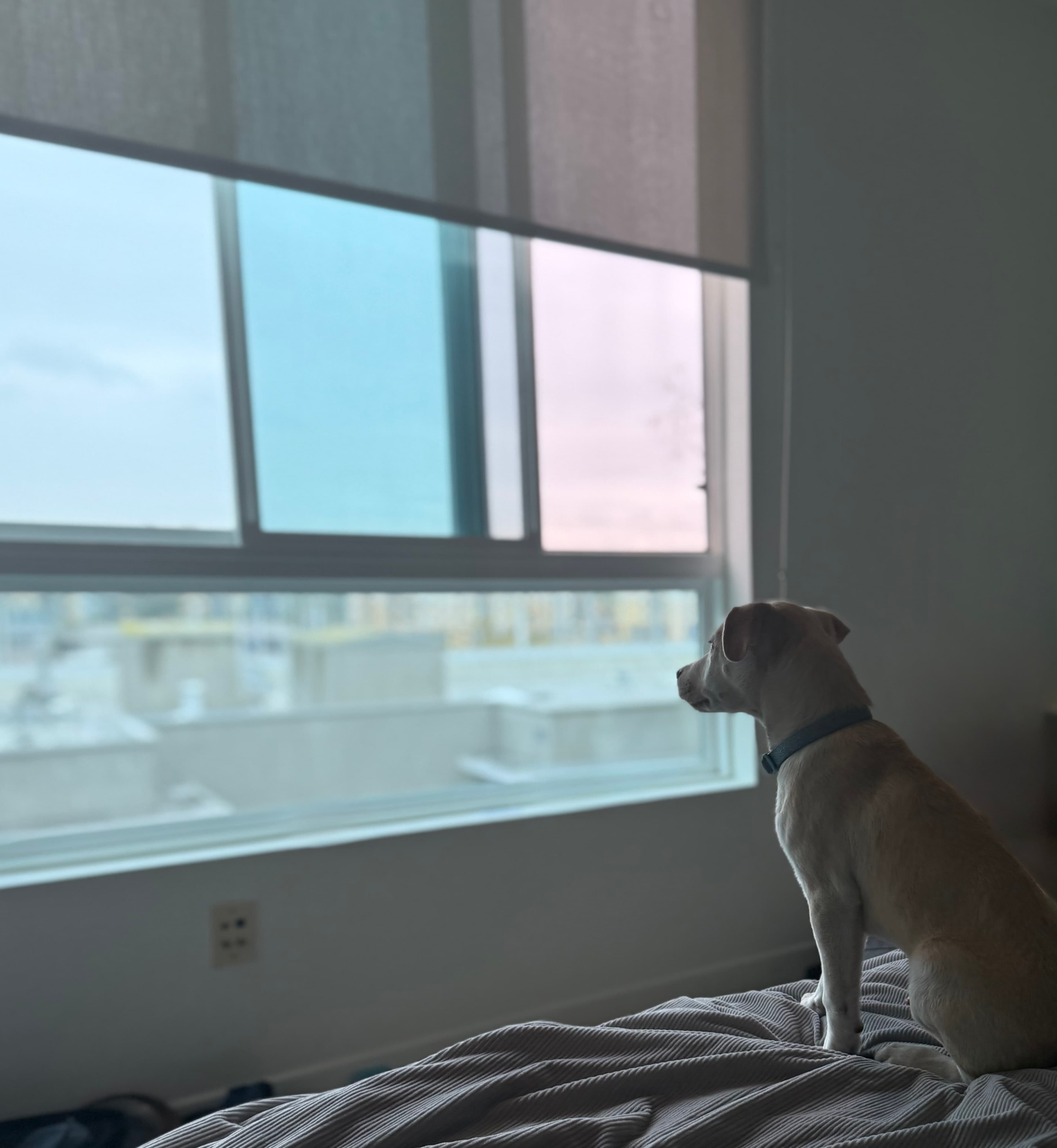 Profile banner