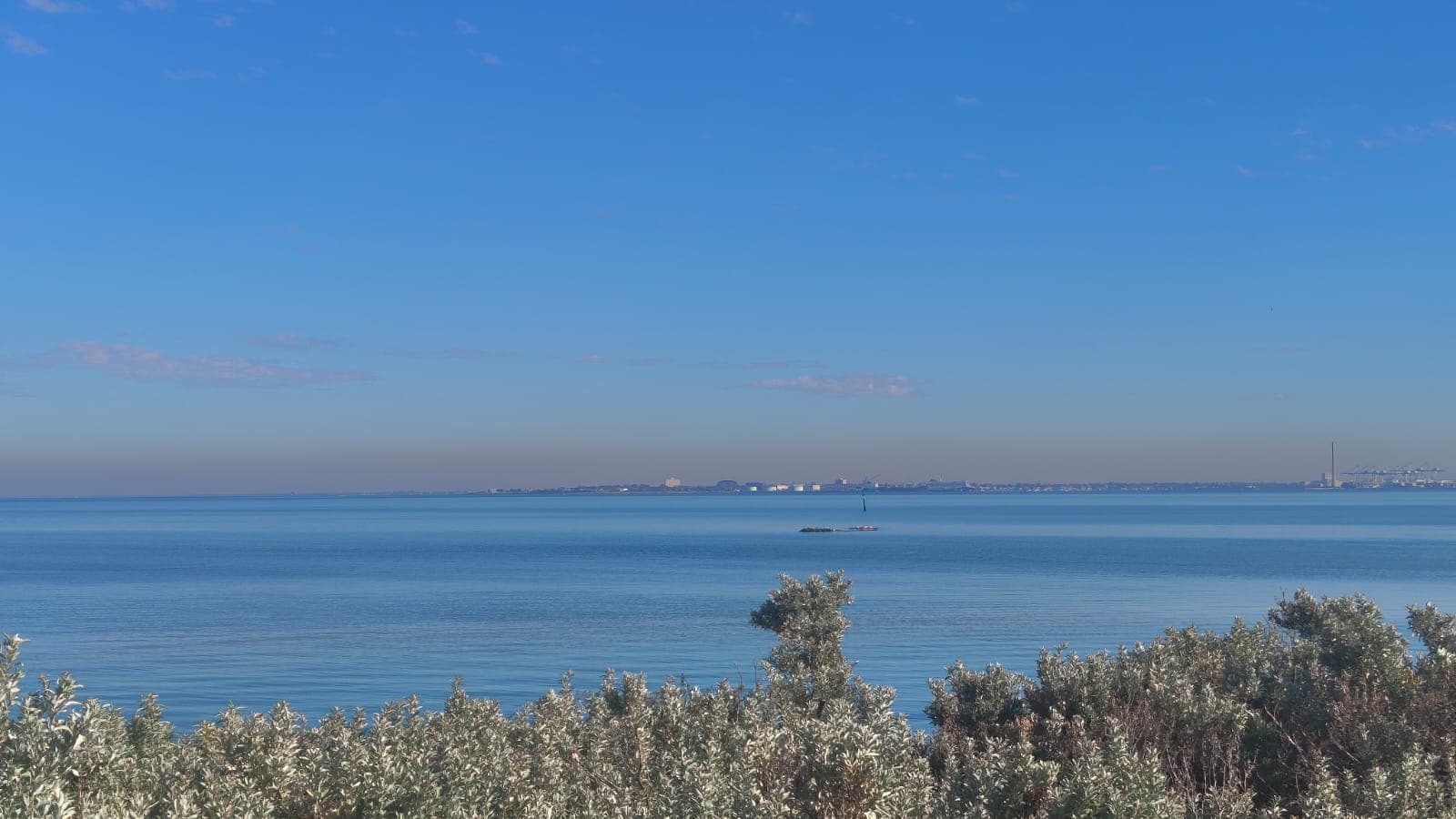 Profile banner