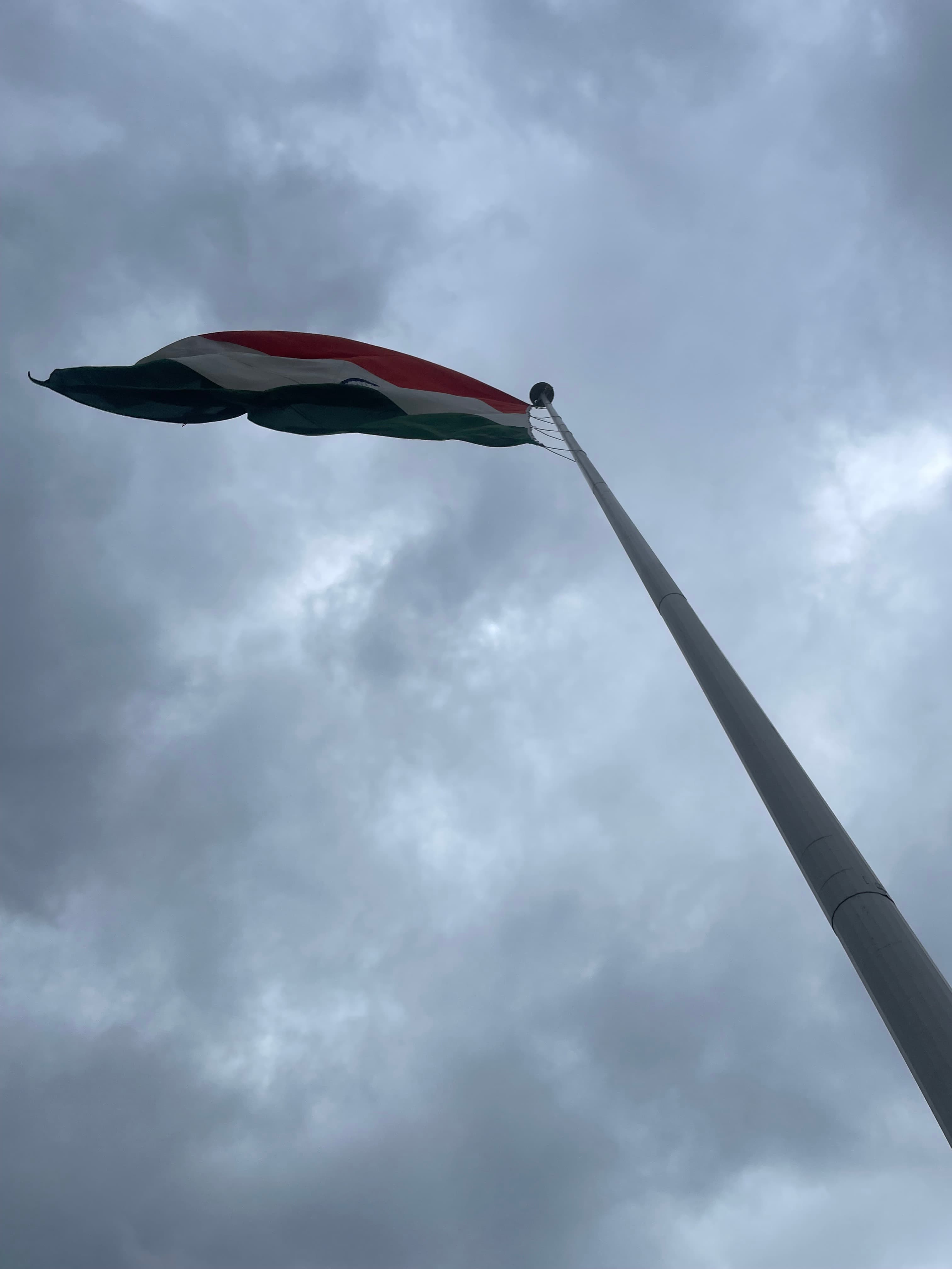 Profile banner