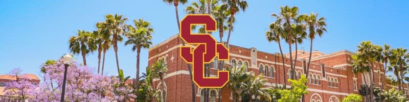 Profile banner