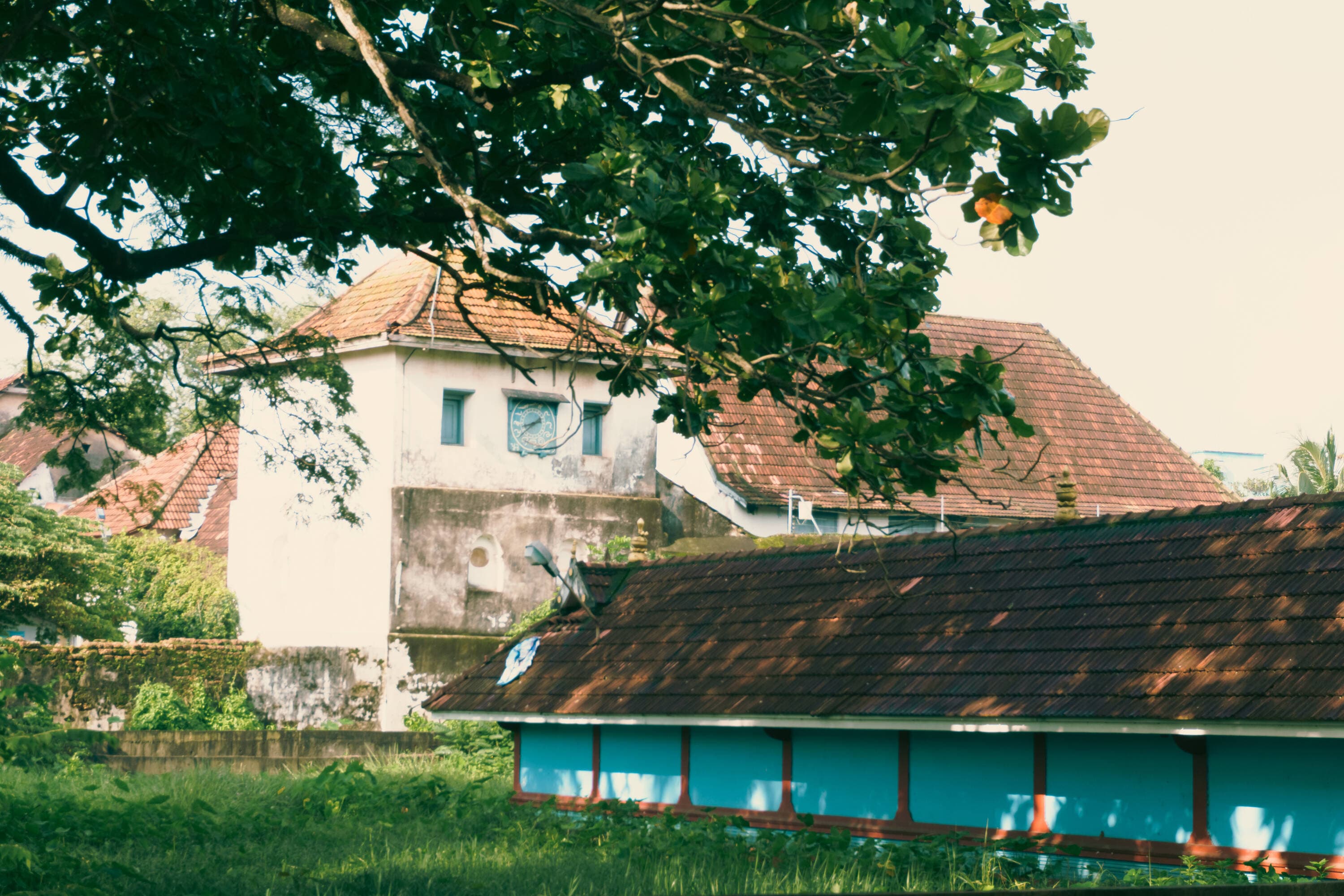 Profile banner