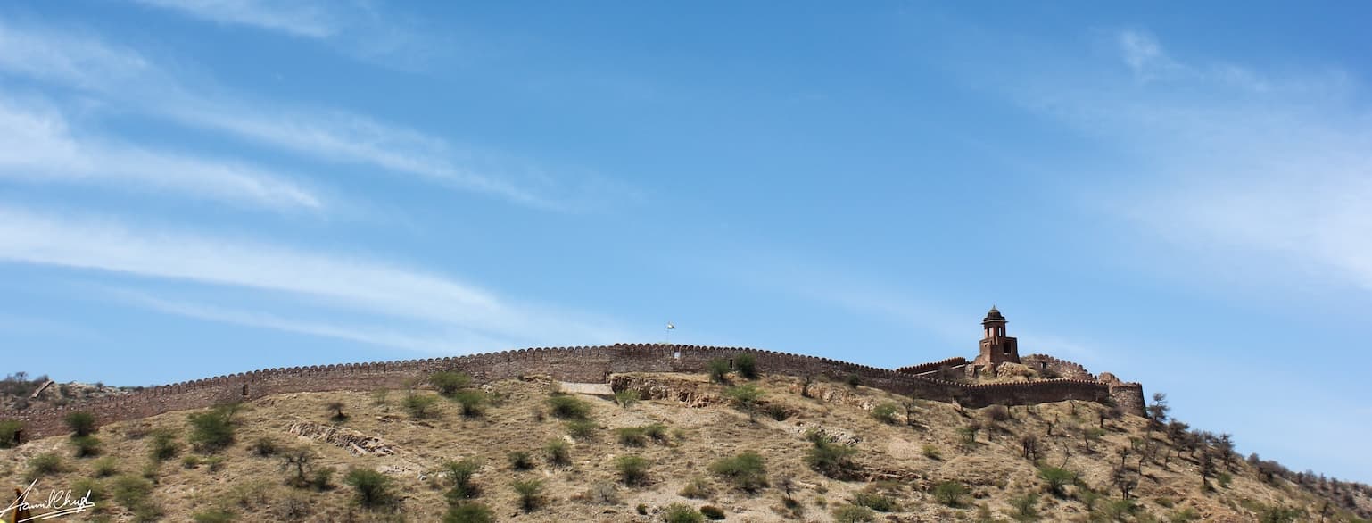 Profile banner