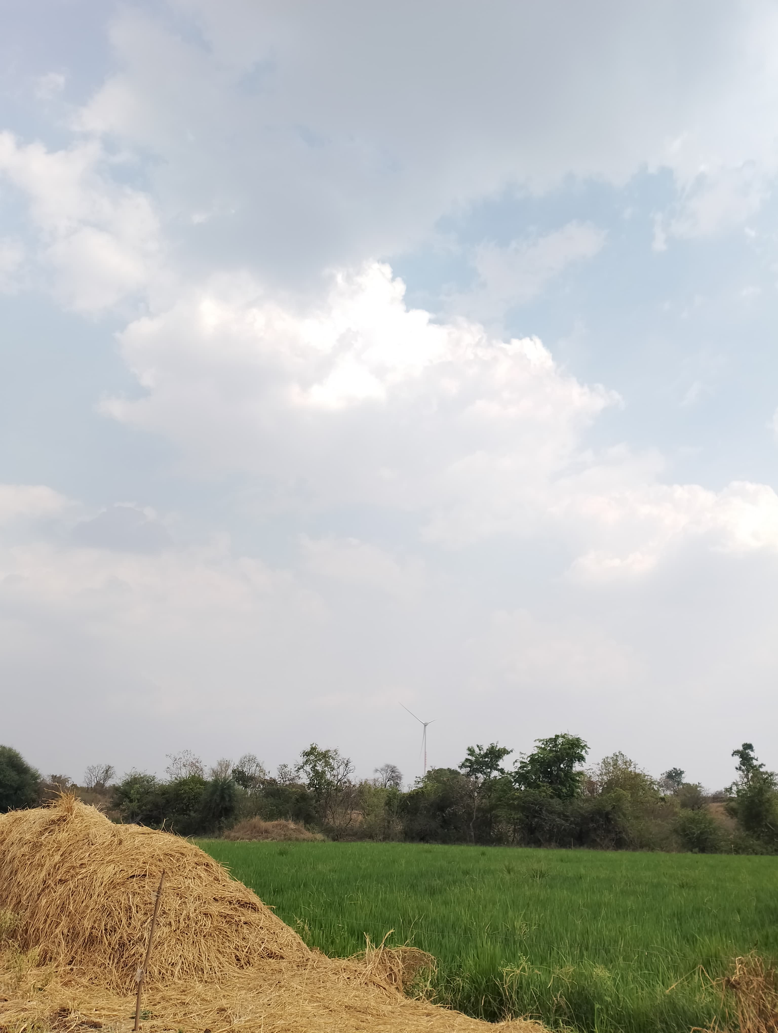 Profile banner